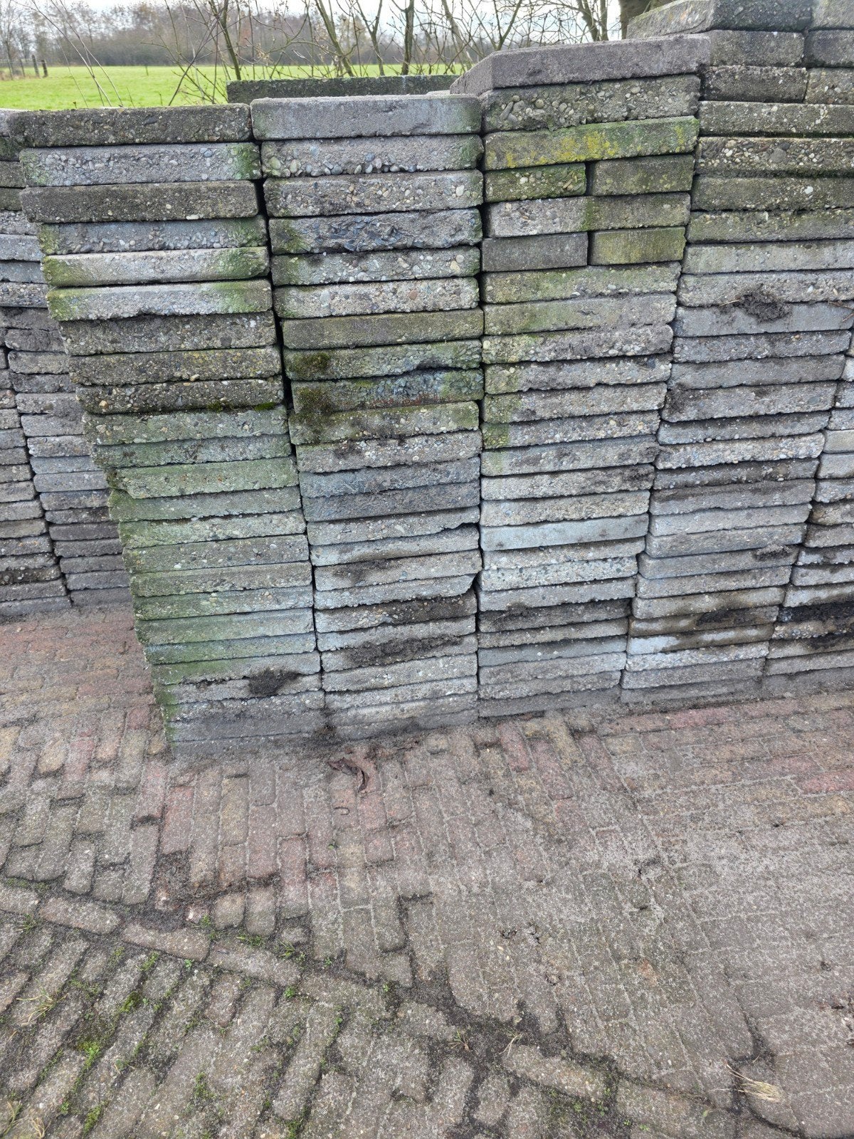 tegels gratis, Tuin en Terras, Tegels en Klinkers, Ophalen, Beton, Terrastegels
