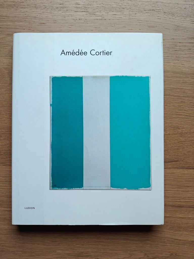 Amedee cortier /Het merg van de kleur /lecoeur de la couleur, Ophalen of Verzenden, Zo goed als nieuw, Schilder- en Tekenkunst