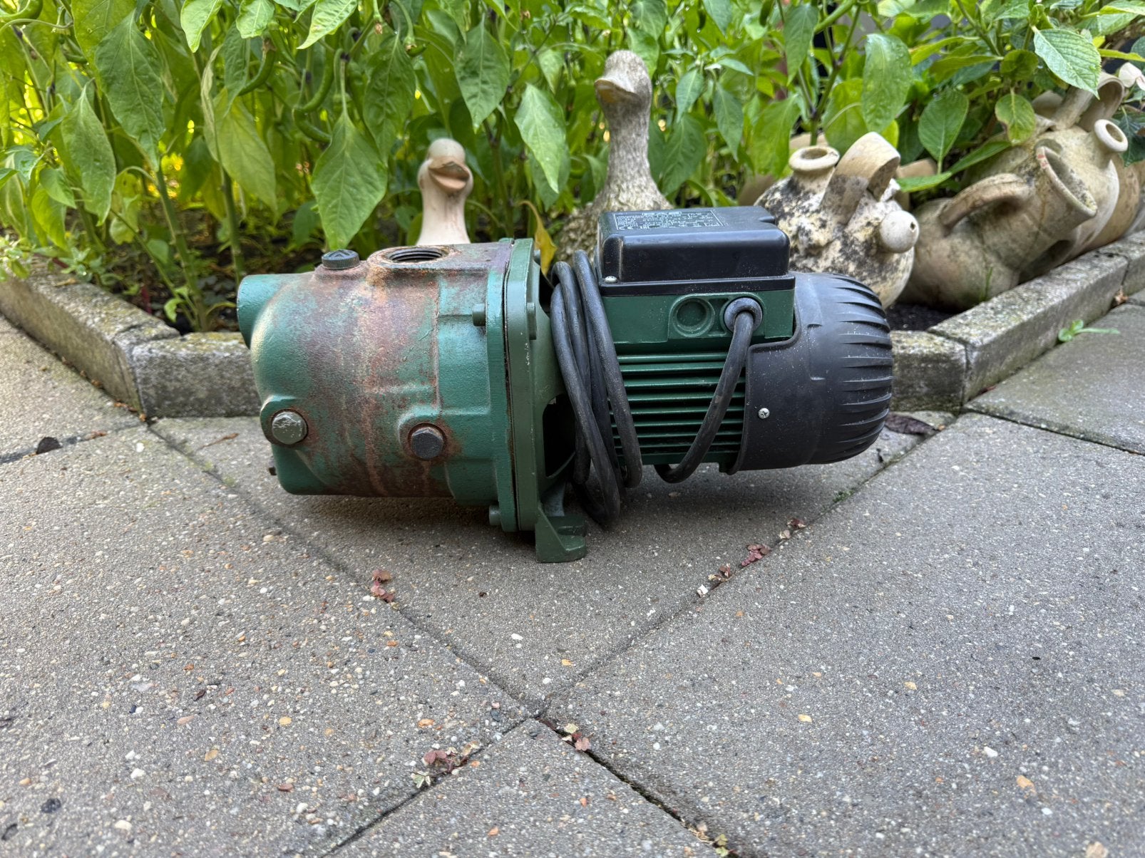 DAB Aquajet 82/20 M GWS waterpomp, Ophalen of Verzenden, Gebruikt, Elektrisch, Beregeningspomp