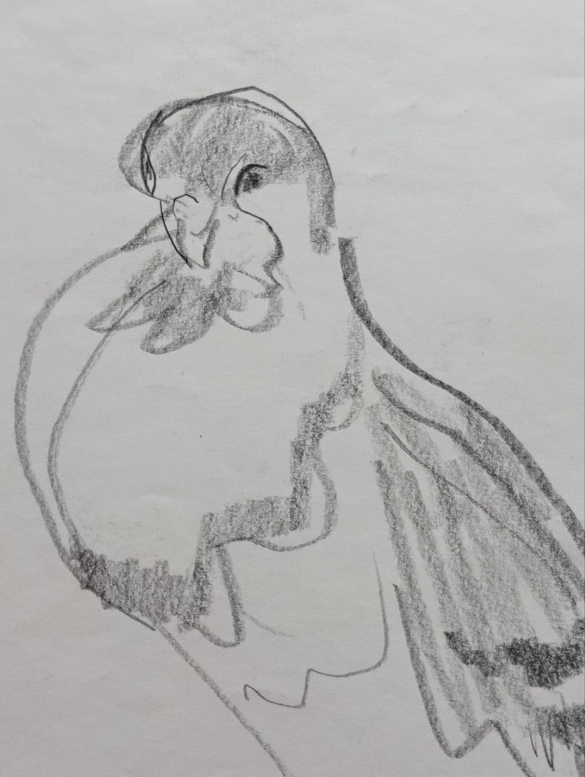Jan Visser tekening vogel jaren 40-50, Antiek en Kunst, Kunst | Tekeningen en Foto's, Ophalen of Verzenden