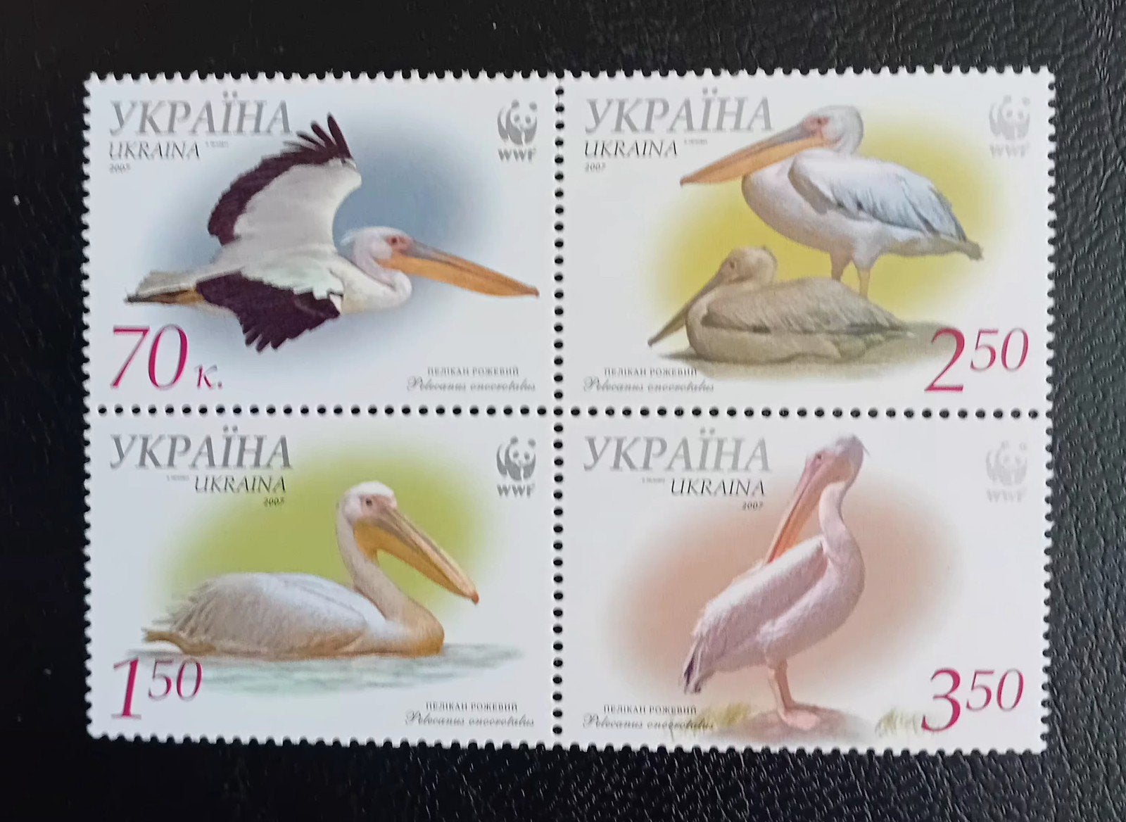 Ukraine  WWF Blokje van 4 Pelikaan Postfris, Postzegels en Munten, Ophalen of Verzenden, Postfris, Dier of Natuur