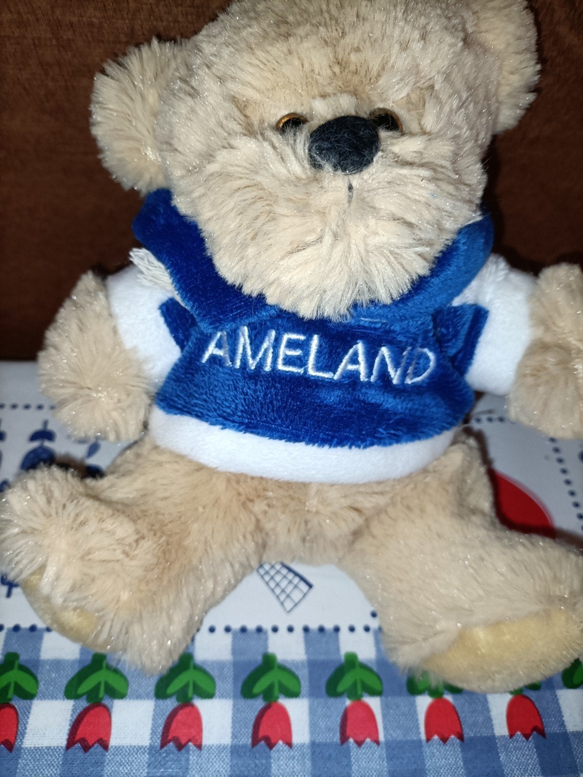 Ameland beer knuffel 19 cm groot, Ophalen of Verzenden, Zo goed als nieuw, Beer