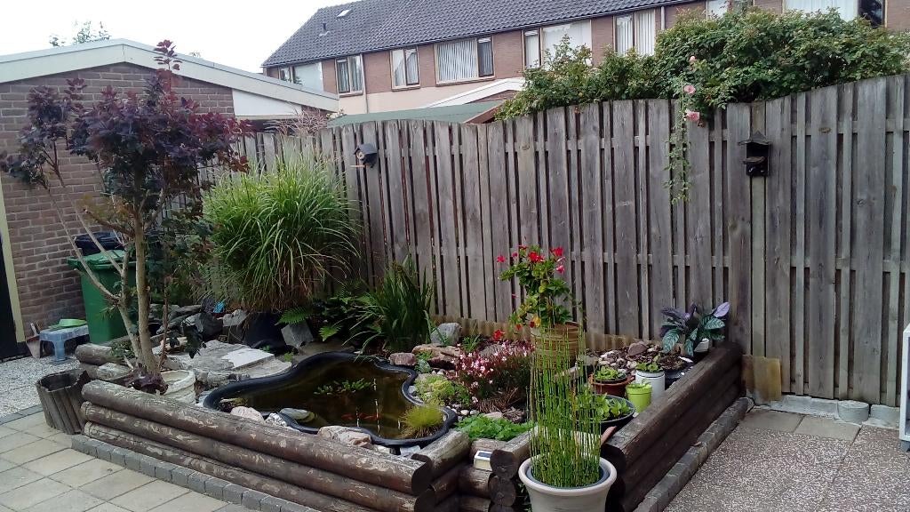 vijvertje, Tuin en Terras, Vijvers, Ophalen, Gebruikt
