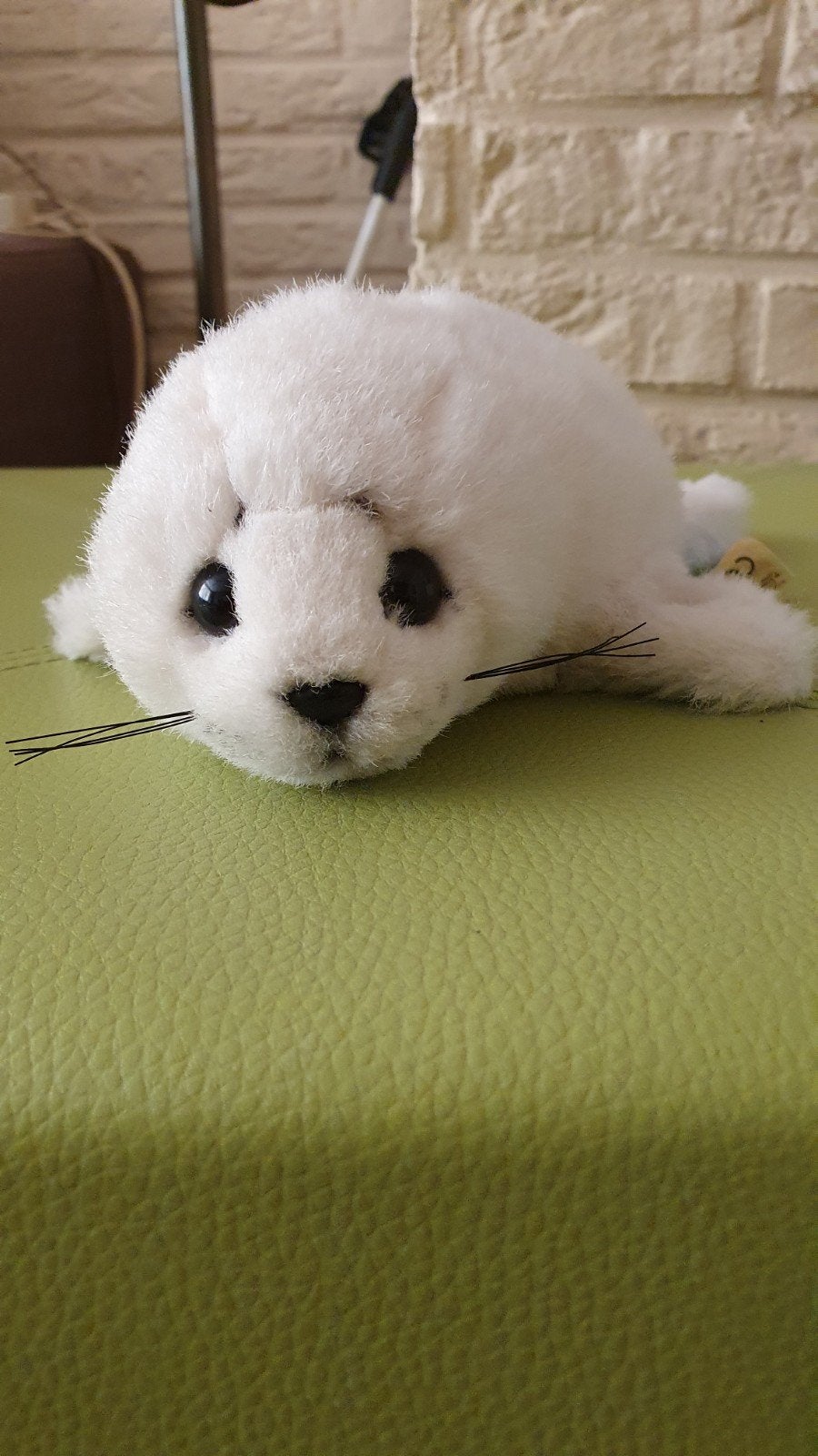 W.W.F. zeehond knuffel., Ophalen of Verzenden, Zo goed als nieuw, Overige typen