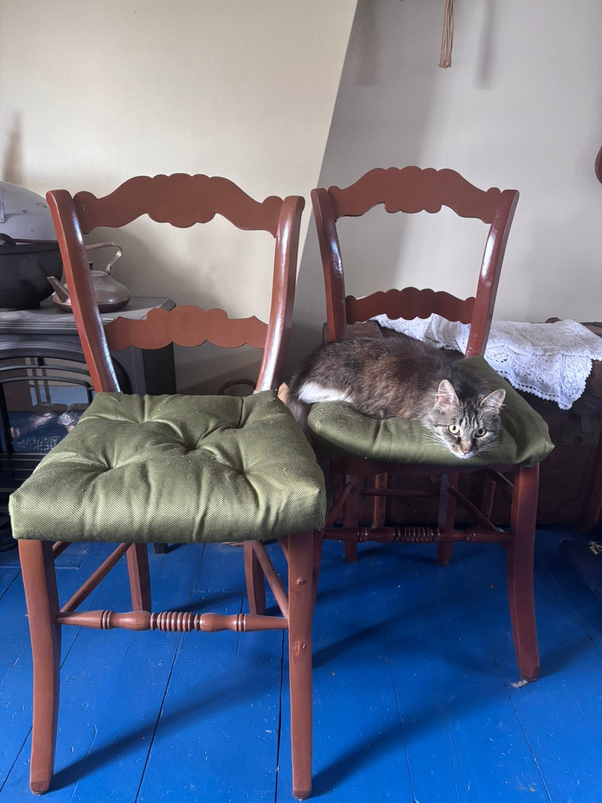 2 rieten stoelen (excl kat), Ophalen