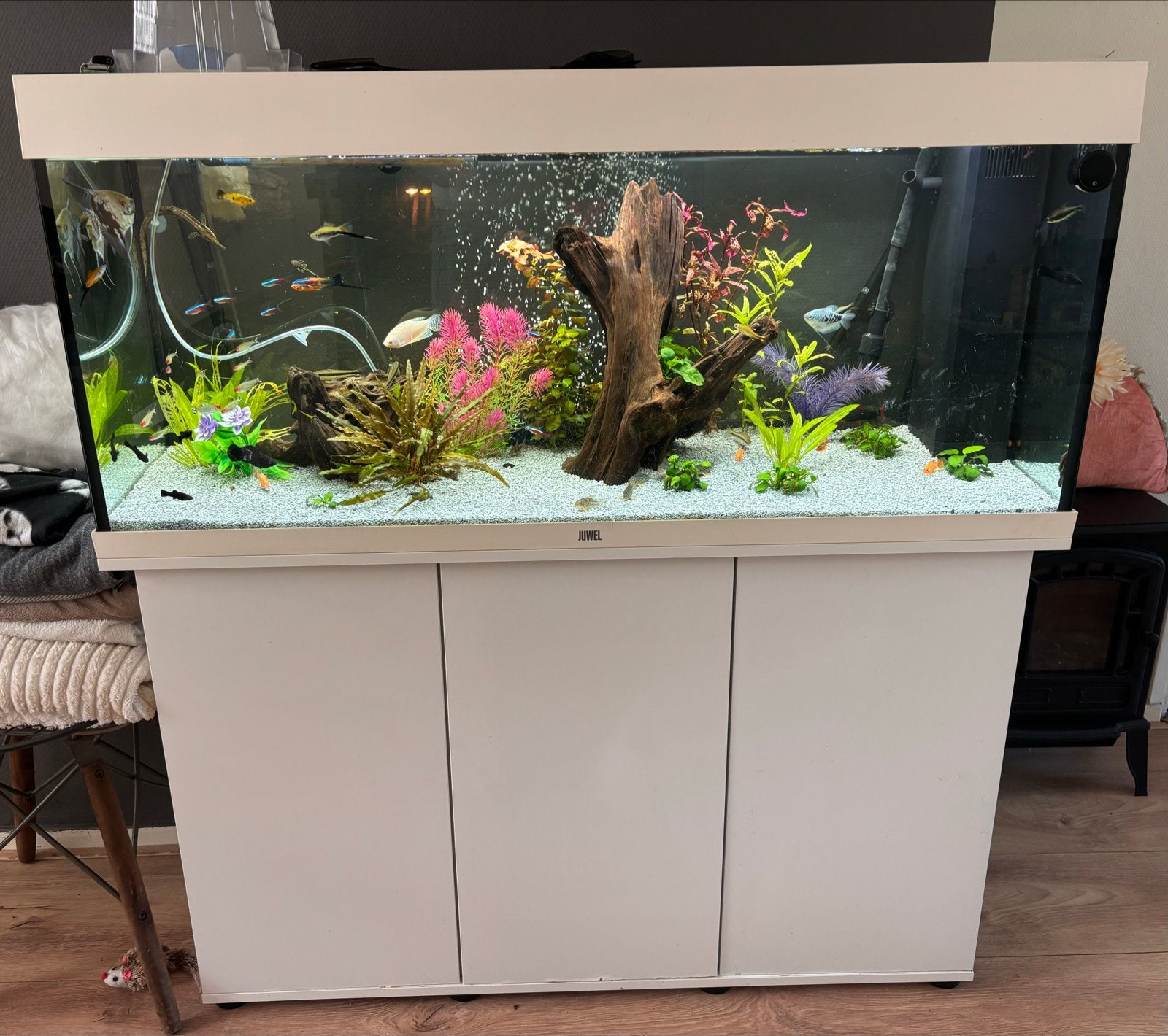 Juwel 240 liter, Ophalen, Gebruikt, Leeg aquarium
