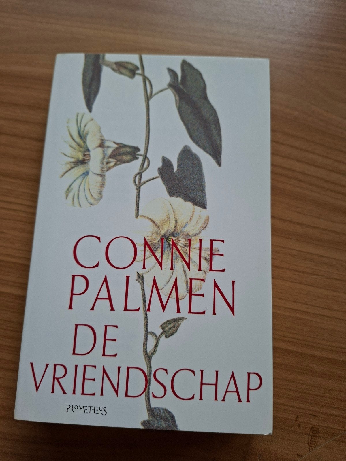 Connie Palmen - De vriendschap, Boeken, Literatuur, Ophalen of Verzenden, Zo goed als nieuw, Connie Palmen