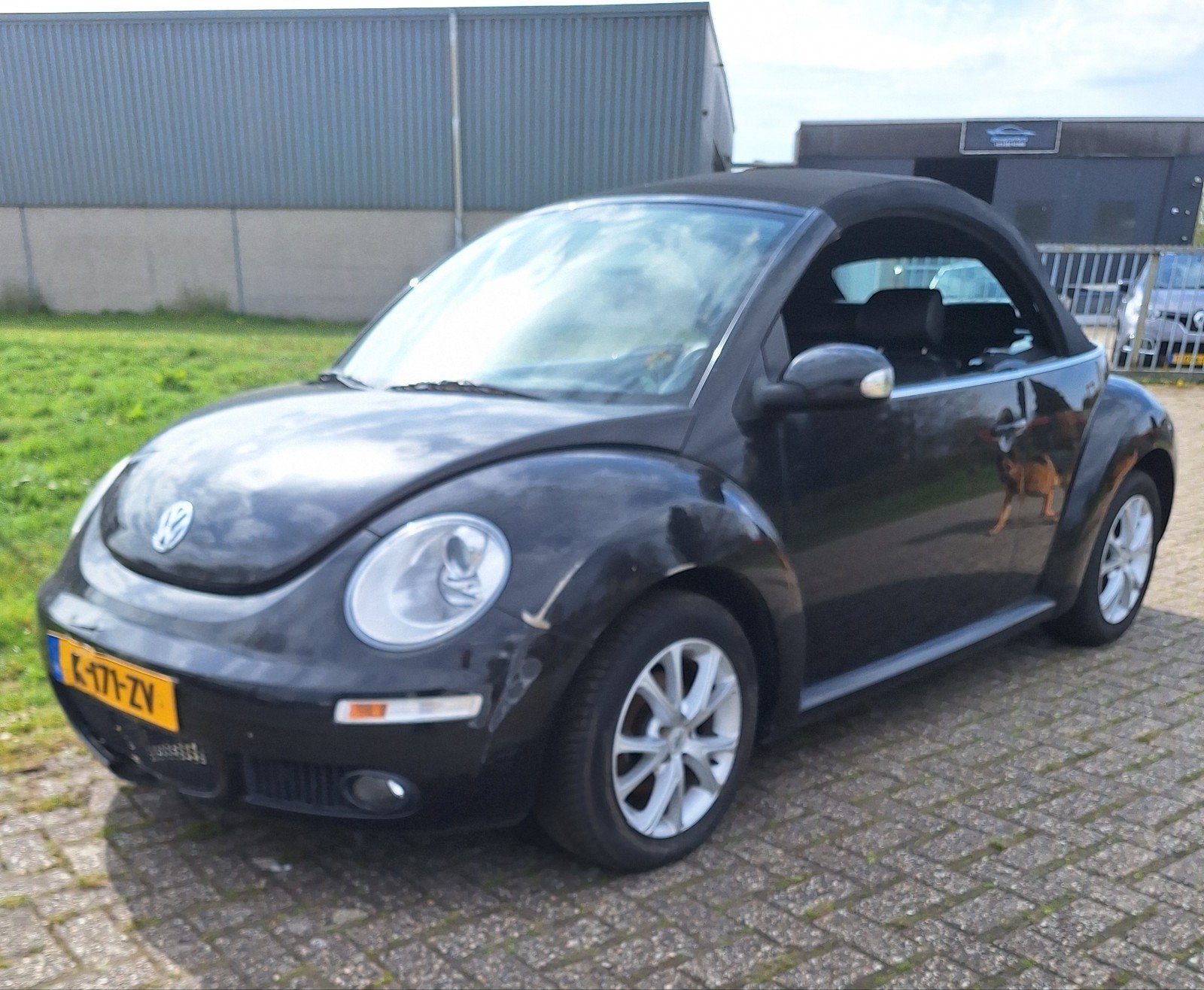 Volkswagen Beetle Cabrio 1.9 TDI 77KW leder airco stoelverwa, Auto diversen, Schadeauto's, Ophalen, Cabriolet, Volkswagen, .