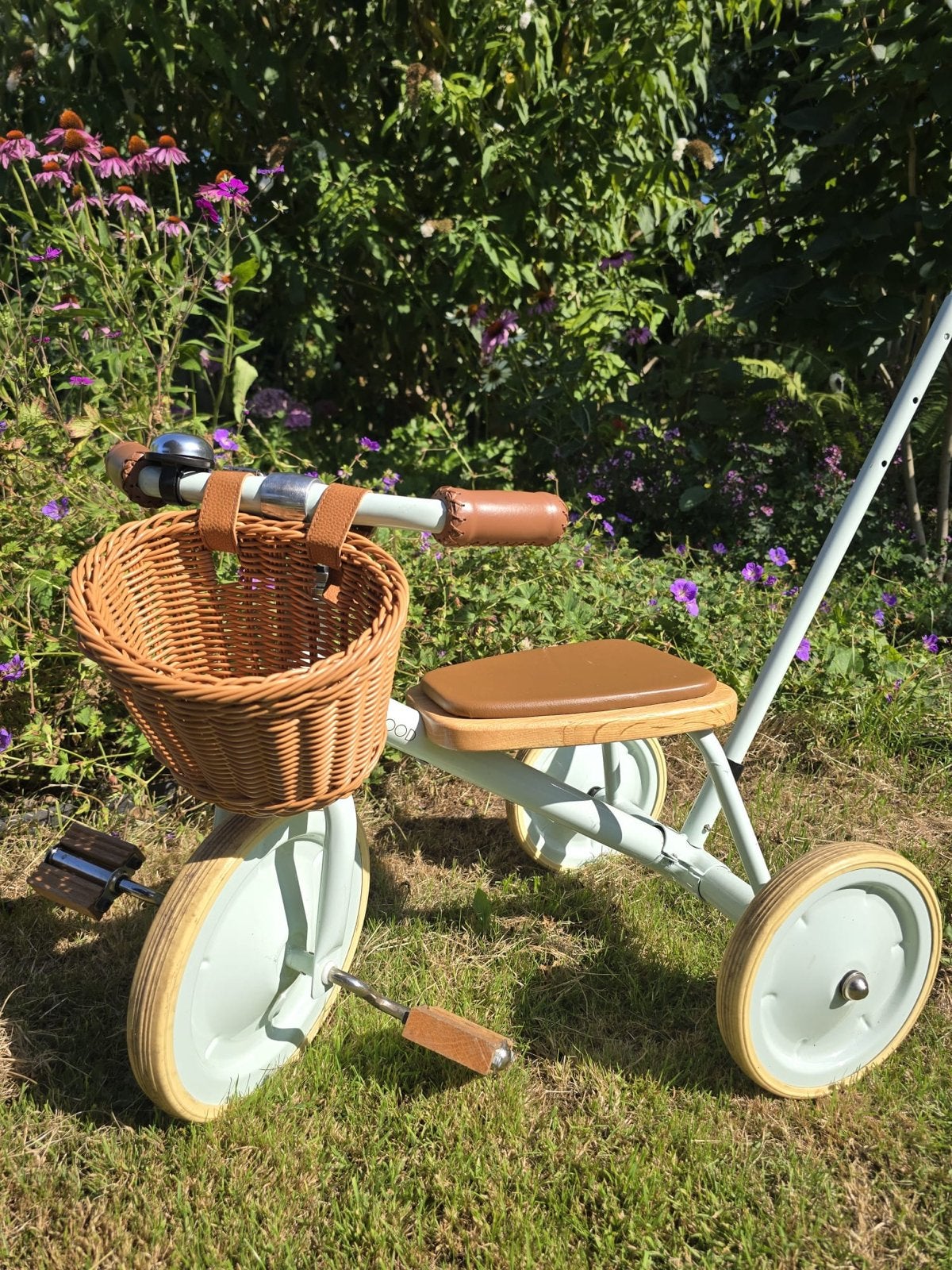Banwood driewieler met duwstang - Mintgroen, Ophalen, Gebruikt, Terugtraprem, Duwstang