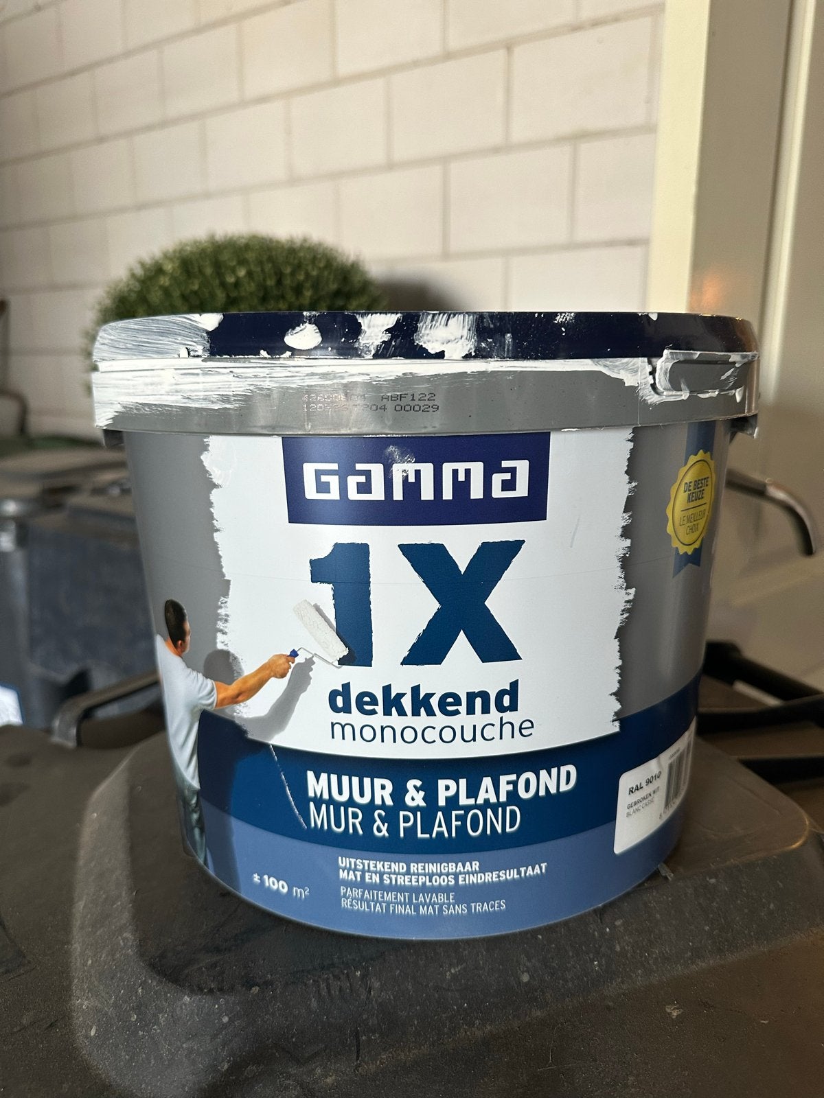 GAMMA 1X Dekkend Monocouche Muur & Plafondverf RAL 9010, Ophalen, 5 tot 10 liter, Wit, Verf