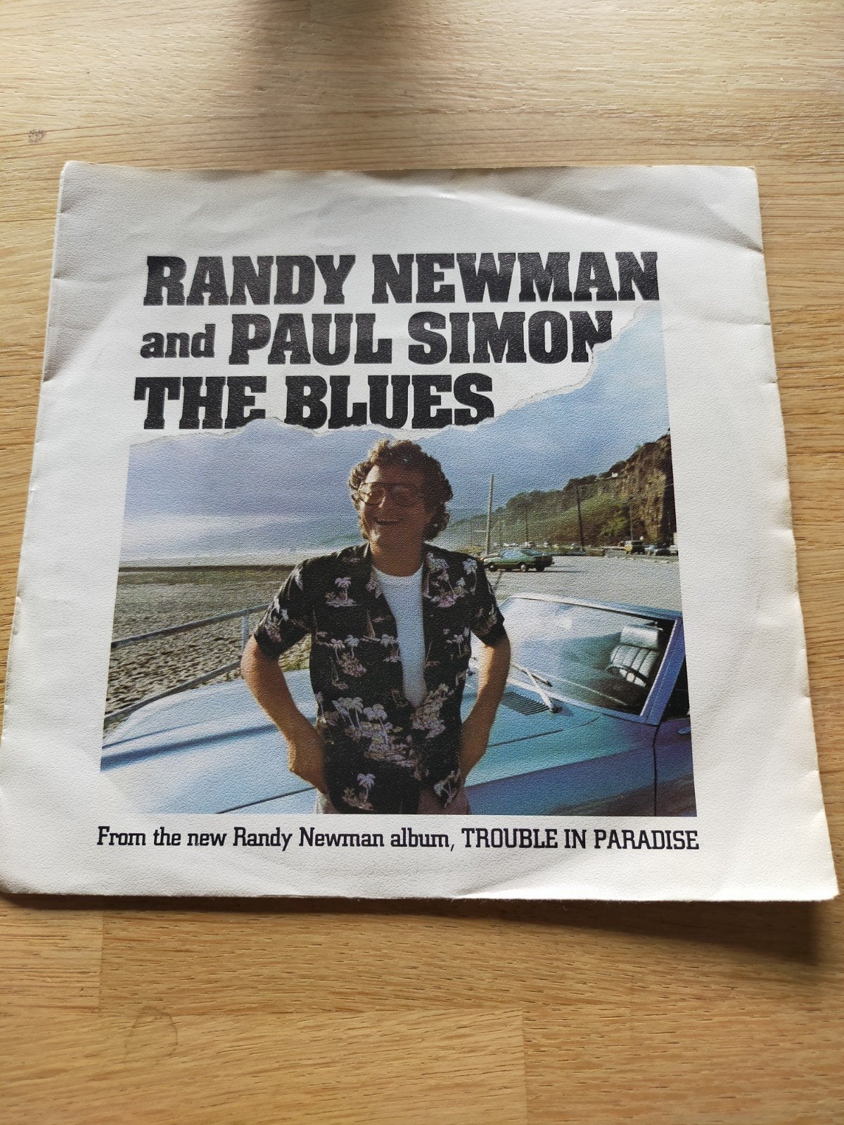 Randy Newman and Paul Simon , the blues, Cd's en Dvd's, Ophalen of Verzenden, Zo goed als nieuw, Pop