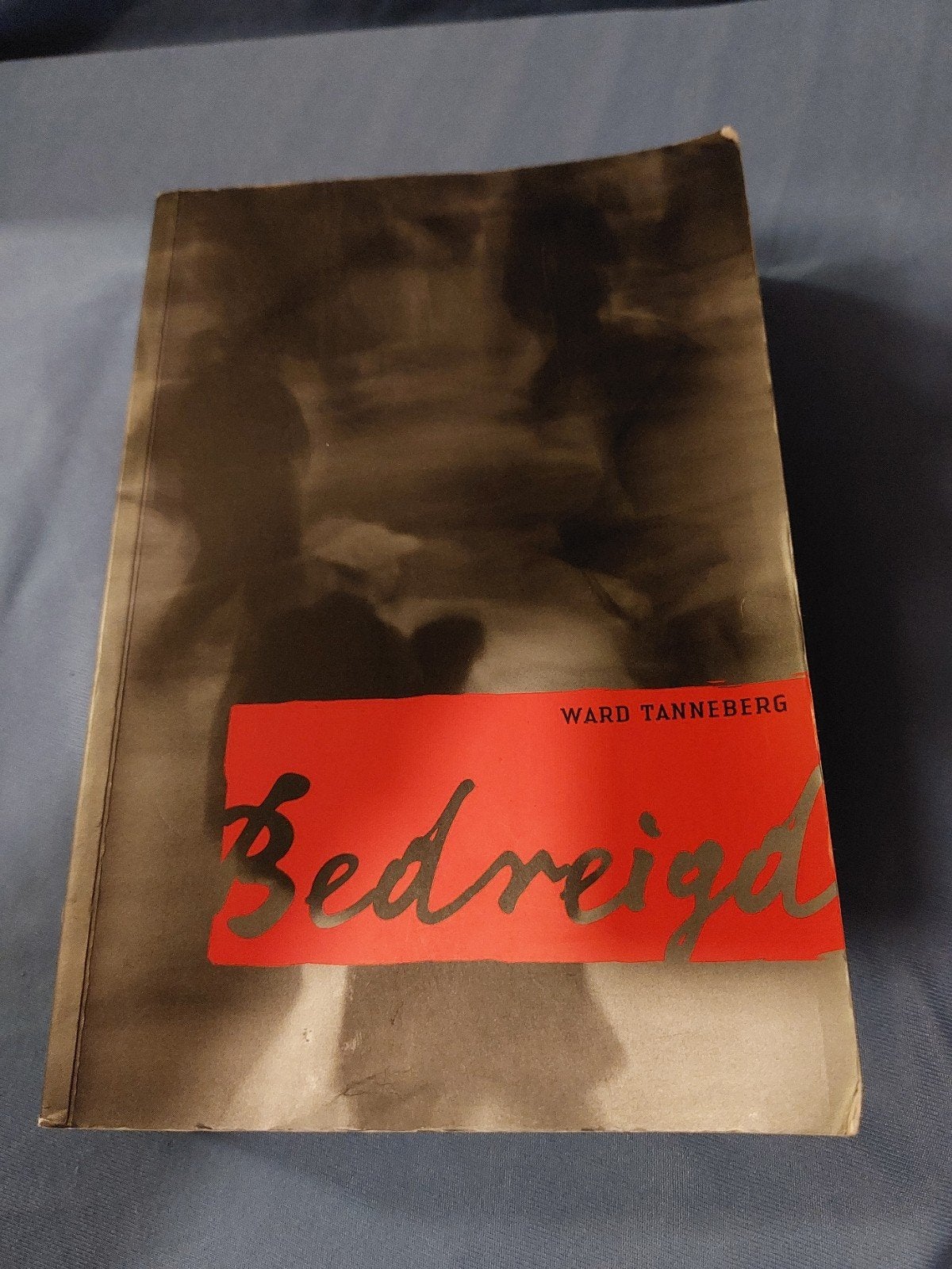 Bedreigd - Ward Tanneberg (ISBN 90-8520-018-0), Ophalen of Verzenden, Gelezen, Ward Tanneberg, Nederland