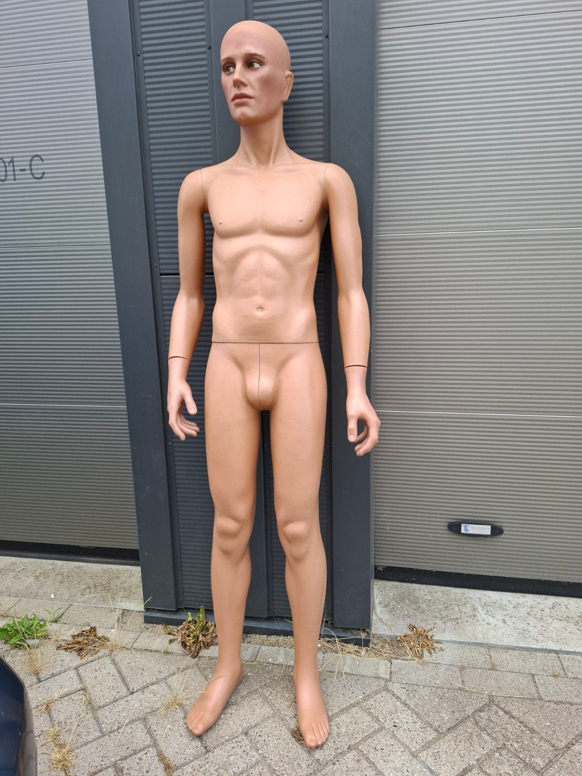 Paspop Man, 179cm lang, Ophalen of Verzenden, Nederland