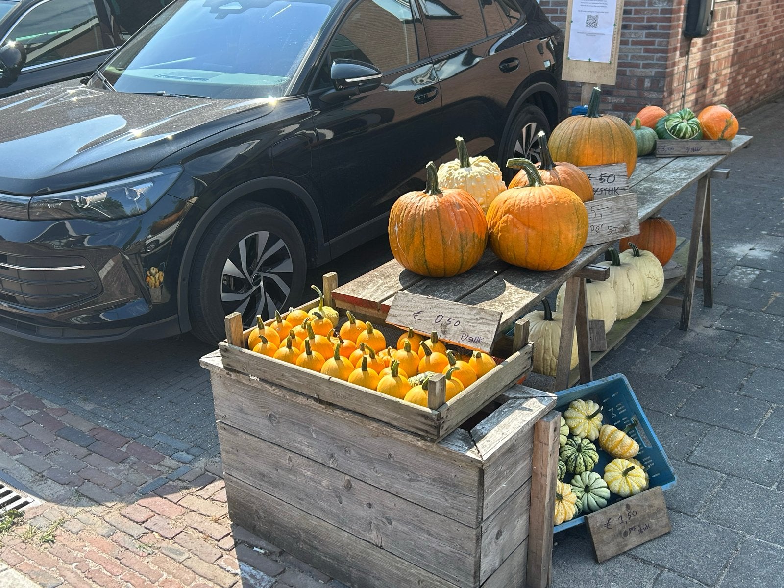 Pompoenen en kalebassen in diverse soorten en maten, Ophalen of Verzenden