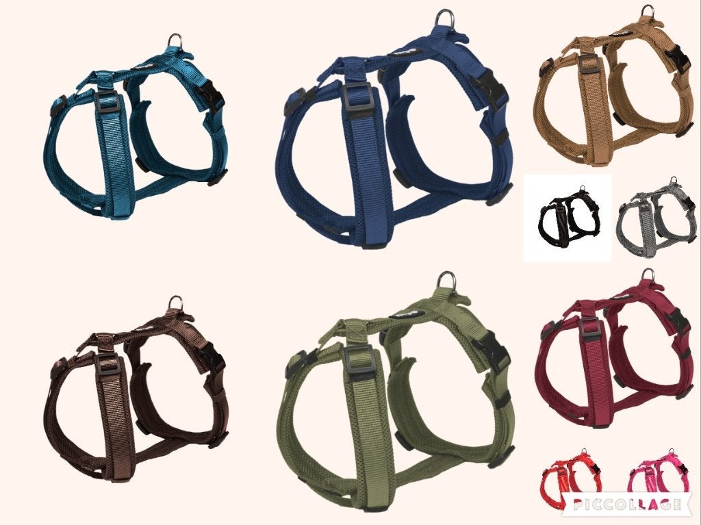 ACTIE Petlando mesh Y-comfort Y-hondentuig vanaf €32,95, Overige merken, Ophalen of Verzenden, Nieuw, Hondentuig