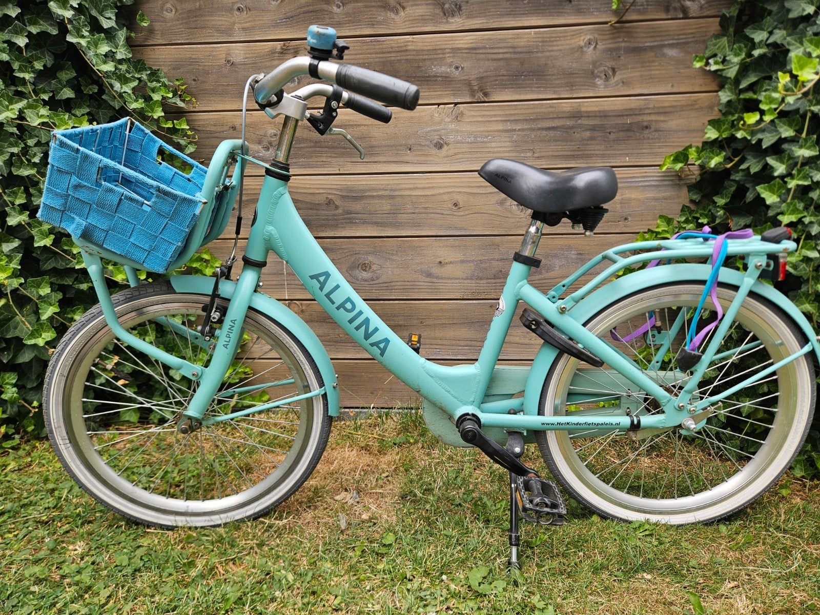 Supermooie Alpina Clubb meisjesfiets 20 inch, mintgroen, Ophalen, Terugtraprem, Alpina, 20 inch