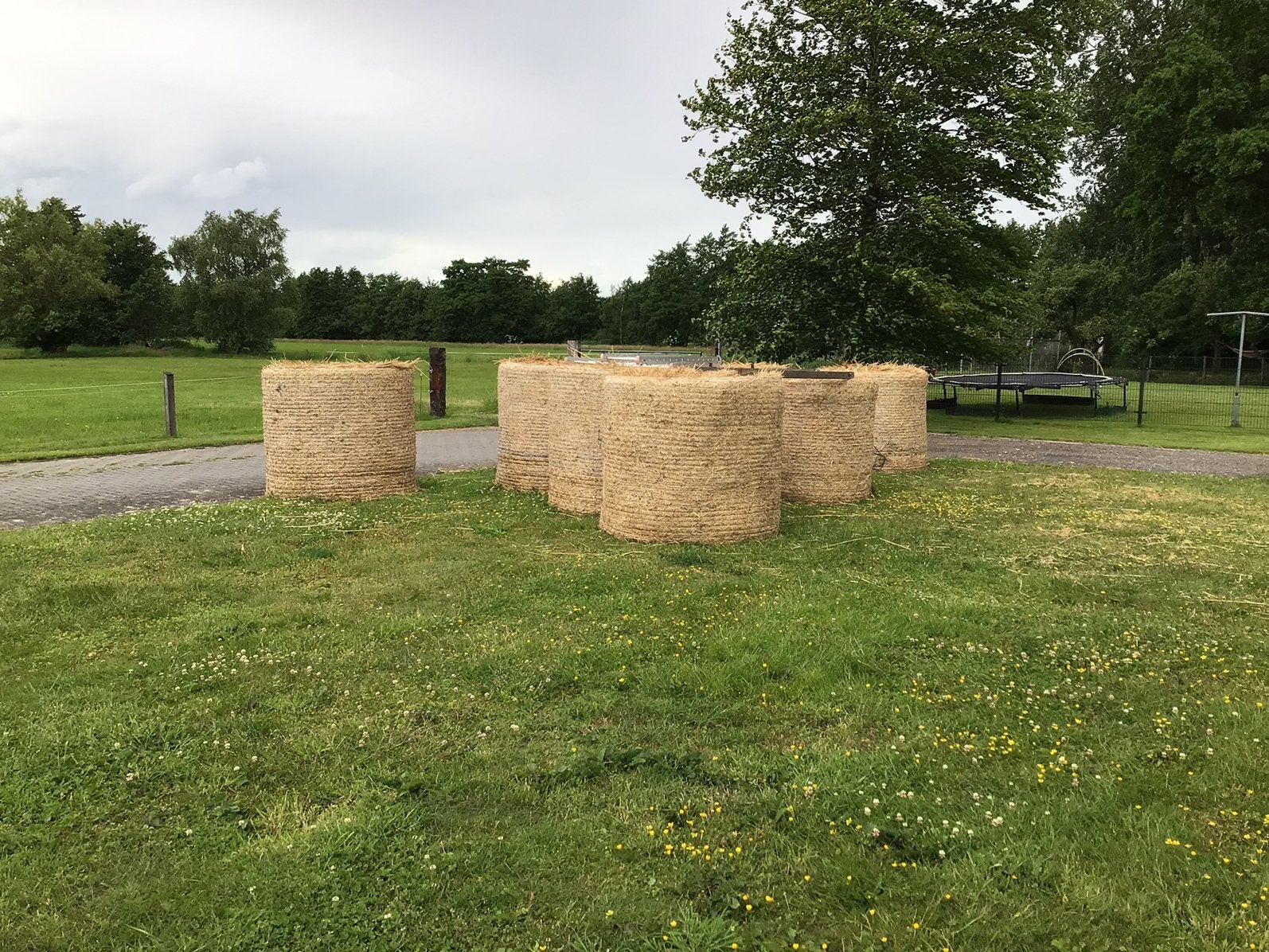9 balen gebruikt riet. Gratis af te halen, Tuin en Terras, Ophalen of Verzenden