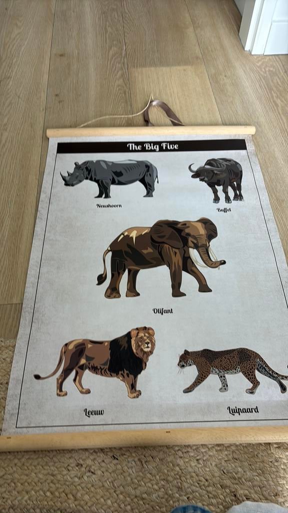 Schoolplaat kinderkamer big five, Ophalen, Zo goed als nieuw, Wanddecoratie