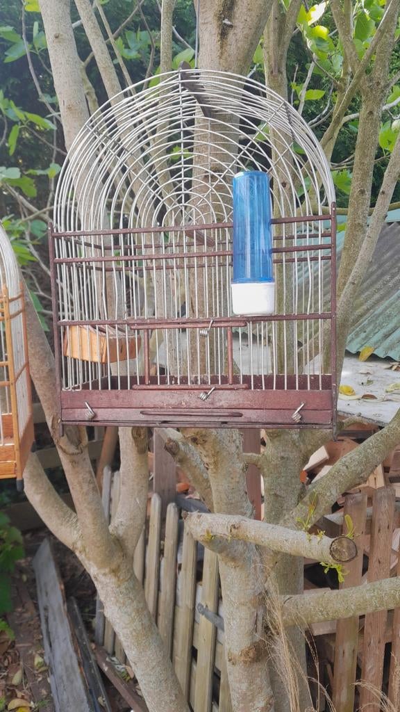 Diverse Surinaamse kooien, Dieren en Toebehoren, Vogels | Hokken en Kooien, Ophalen of Verzenden, Hout, Vogelkooi