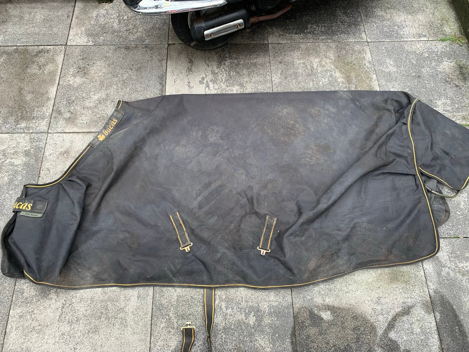 Bucas rain sheet 7.0, Bucas, Gebruikt, Ophalen of Verzenden, Regendeken