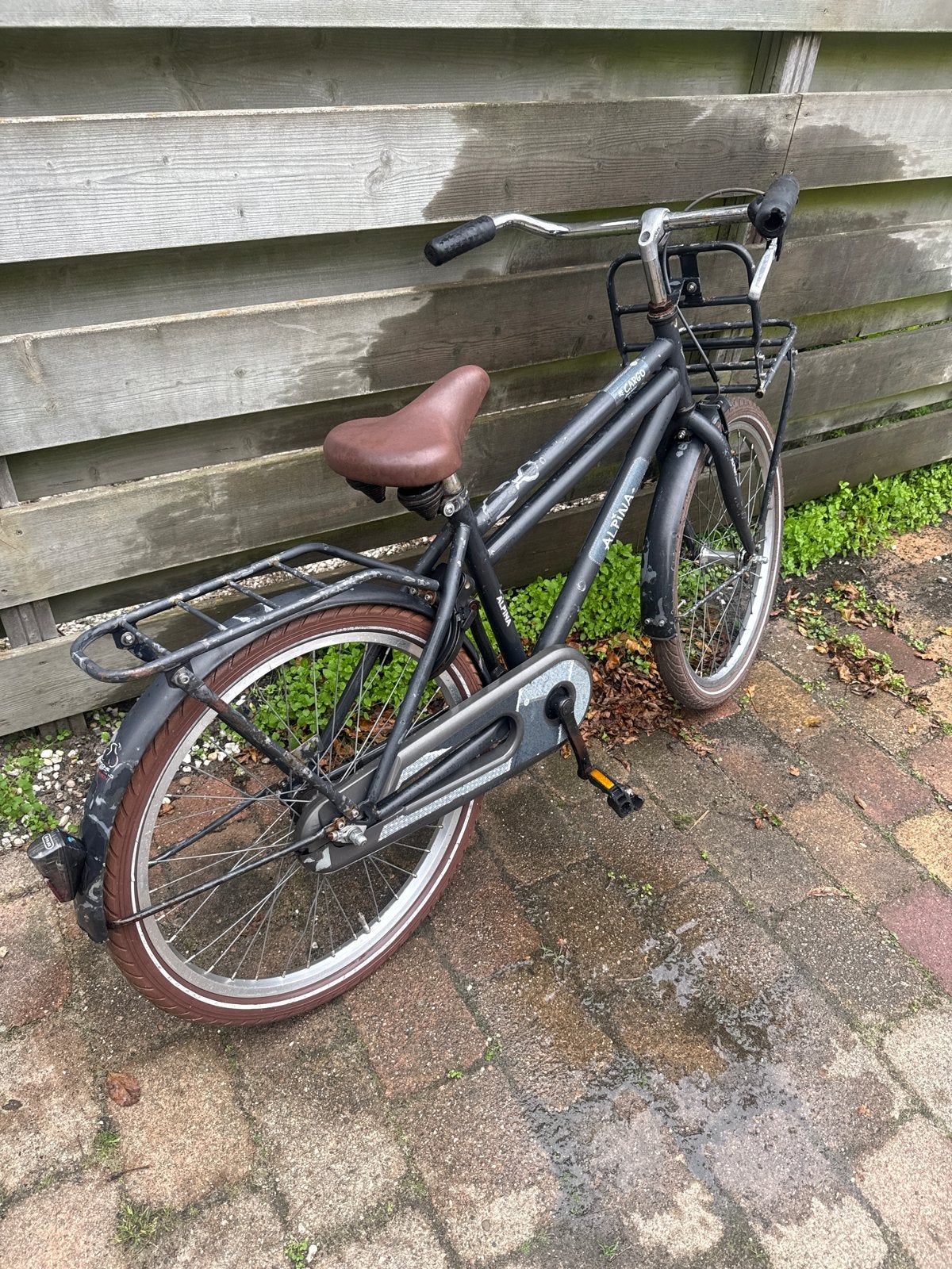Alpina Cargo fiets - Gebruikt, Fietsen en Brommers, Ophalen, Gebruikt, Terugtraprem, 20 inch of meer