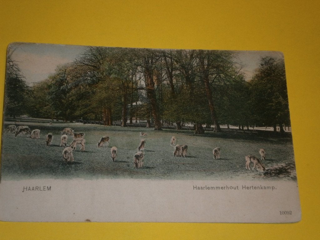 Noord Holland - partij verzameling, Ophalen of Verzenden, Voor 1920, Noord-Holland