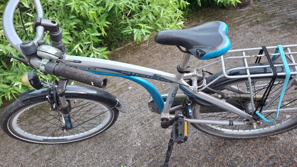 Boy bike Alpina, Ophalen, 22 inch, Gebruikt, Alpina