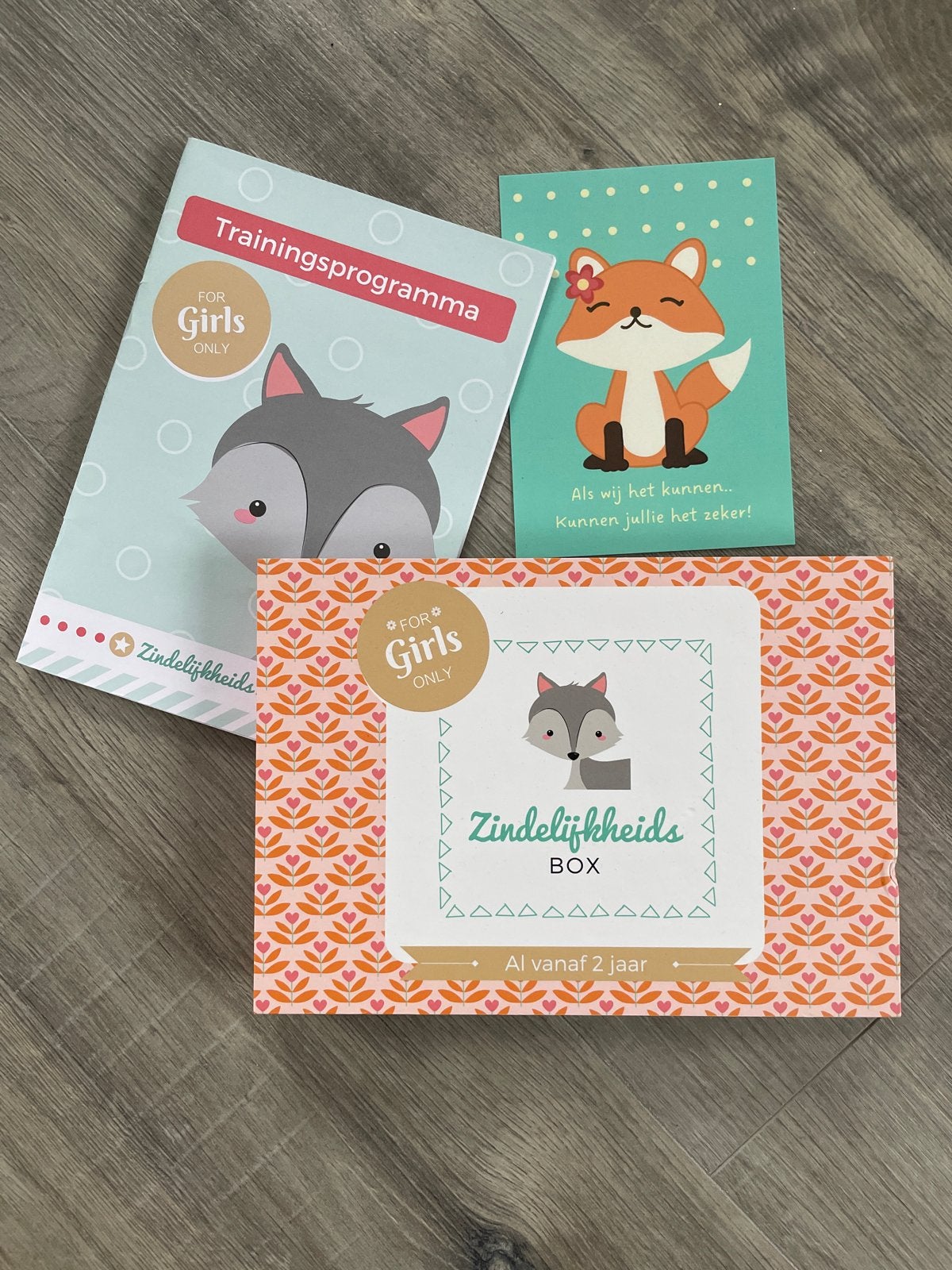 Zindelijkheidsbox voor meisjes - Compleet Trainingsprogramma, Ophalen of Verzenden, Nieuw