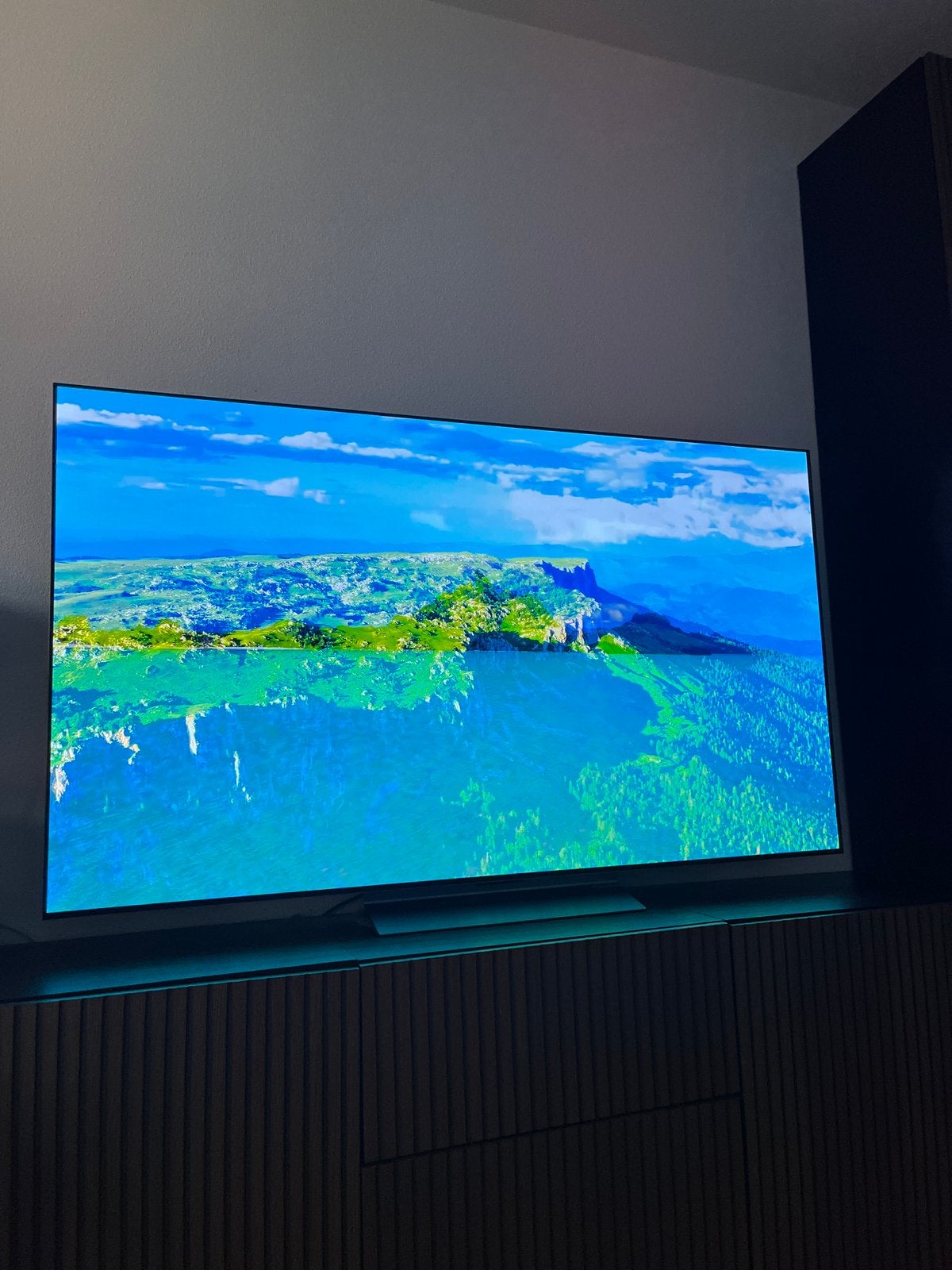 LG 65 inch OLED C5 - ZGAN, 120 Hz, Ophalen of Verzenden, Zo goed als nieuw, 100 cm of meer