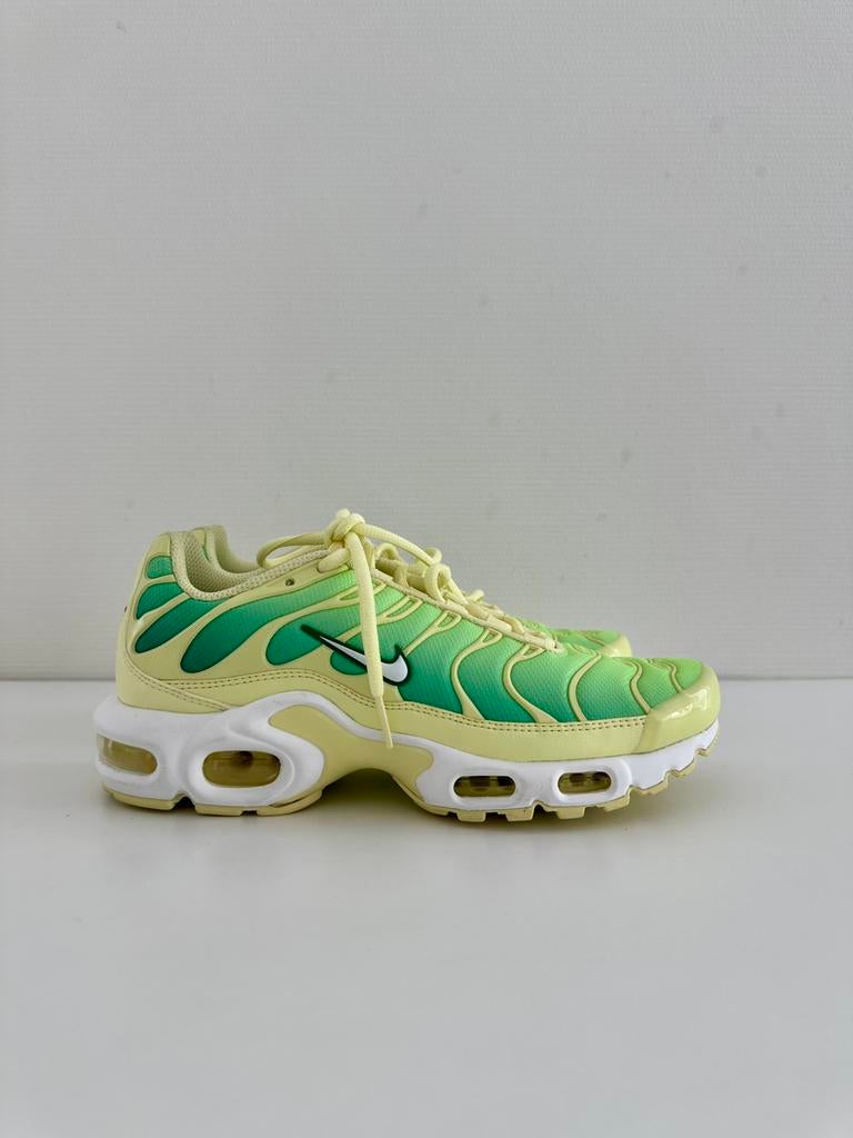 RARE Nike Air Max Plus TN Sample – New – Unique Colorway, Kleding | Dames, Schoenen, Overige kleuren, Nieuw, Ophalen of Verzenden