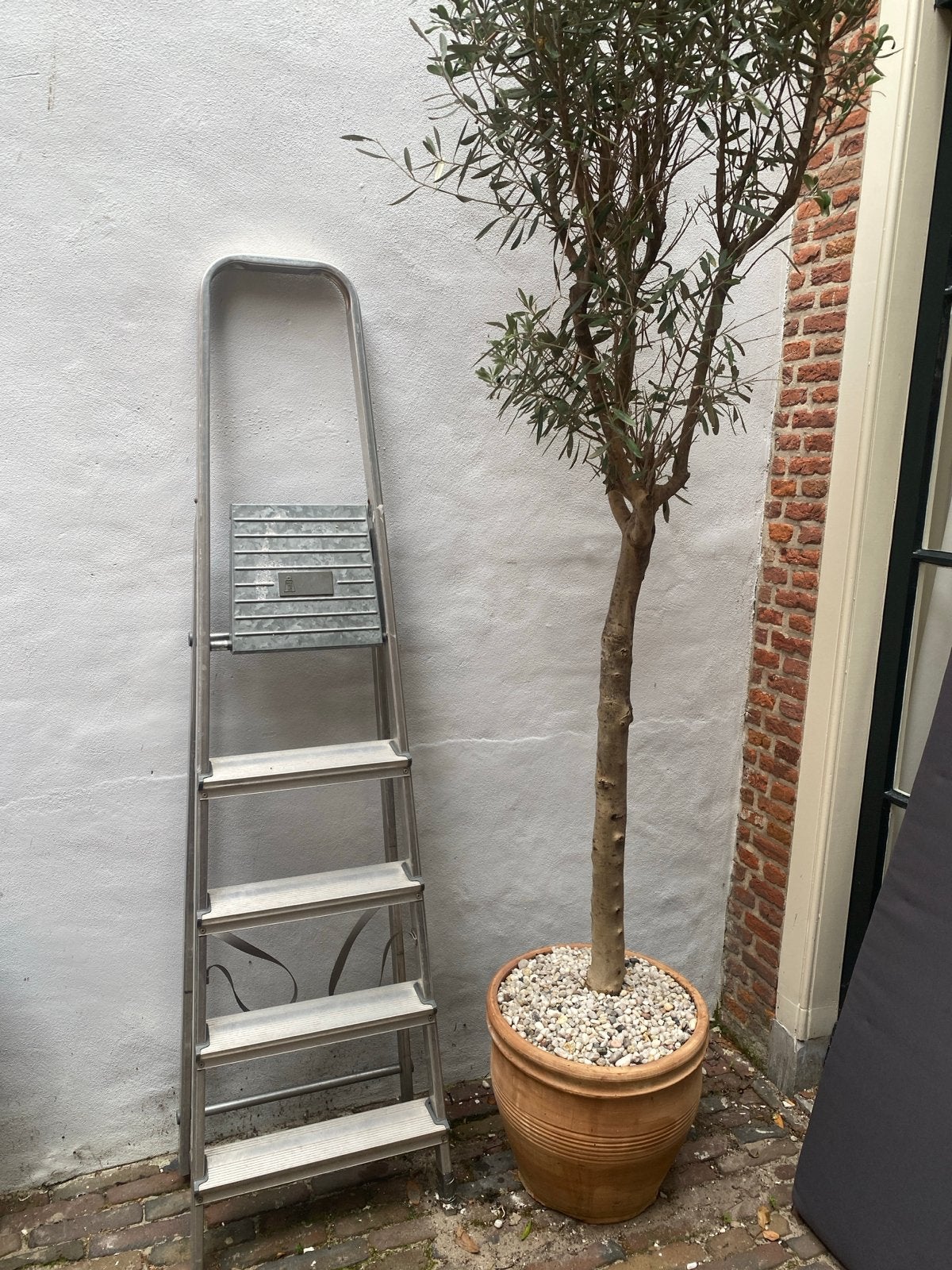 Ladder, Ophalen, Gebruikt, Ladder, Minder dan 2 meter