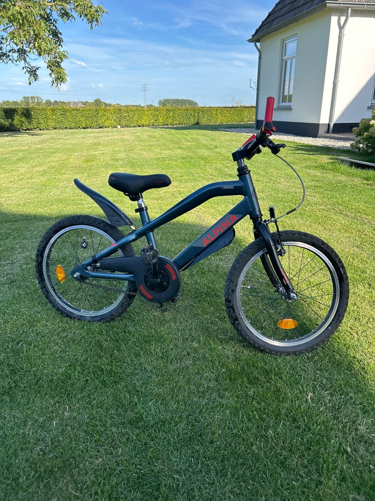 Alpina Trial kinderfiets 18 inch, Fietsen en Brommers, Fietsen | Kinderfietsjes, Ophalen, Gebruikt, Velgrem, 16 tot 20 inch