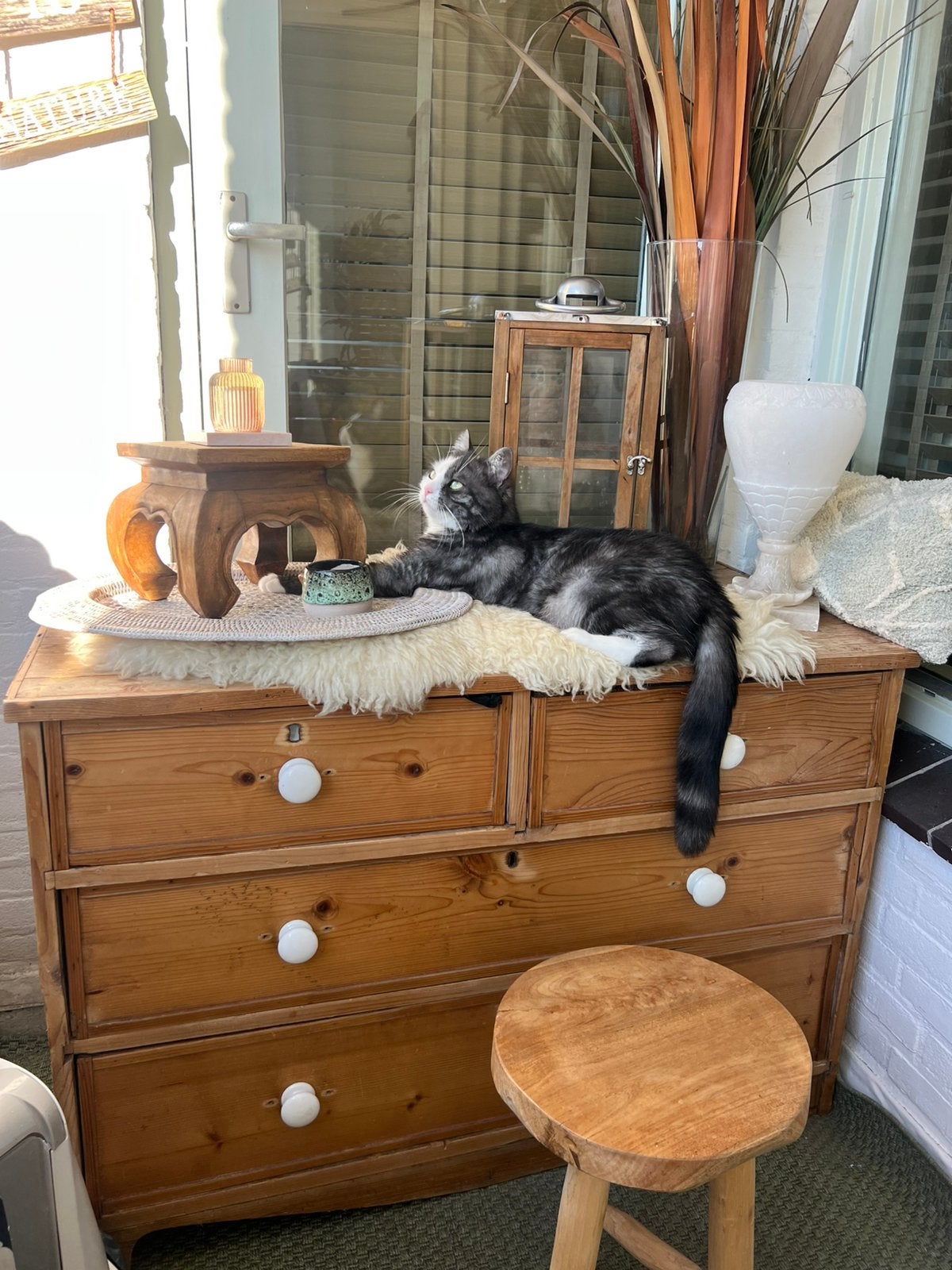 katten