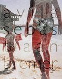 AVILA Sebastiaan Bremer, Boeken, Ophalen of Verzenden, Nieuw, Schilder- en Tekenkunst