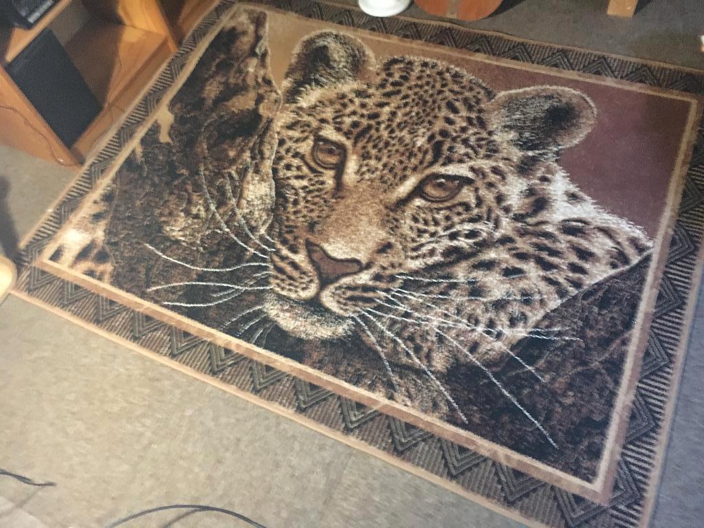 Luipaard, Leopard, Vloerkleed, Zuid-Afrika, Ophalen, Overige kleuren, Nieuw, 200 cm of meer
