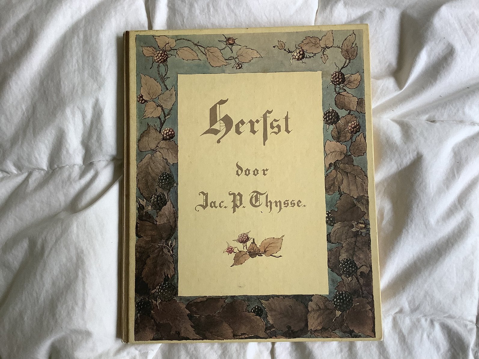 Herfst boek Jac. P Thijsse, Boeken, Ophalen of Verzenden, Zo goed als nieuw