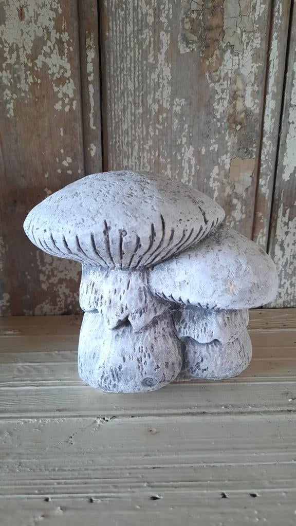 Paddestoelen beton (nuzzelspul), Tuin en Terras, Ophalen of Verzenden, Nieuw
