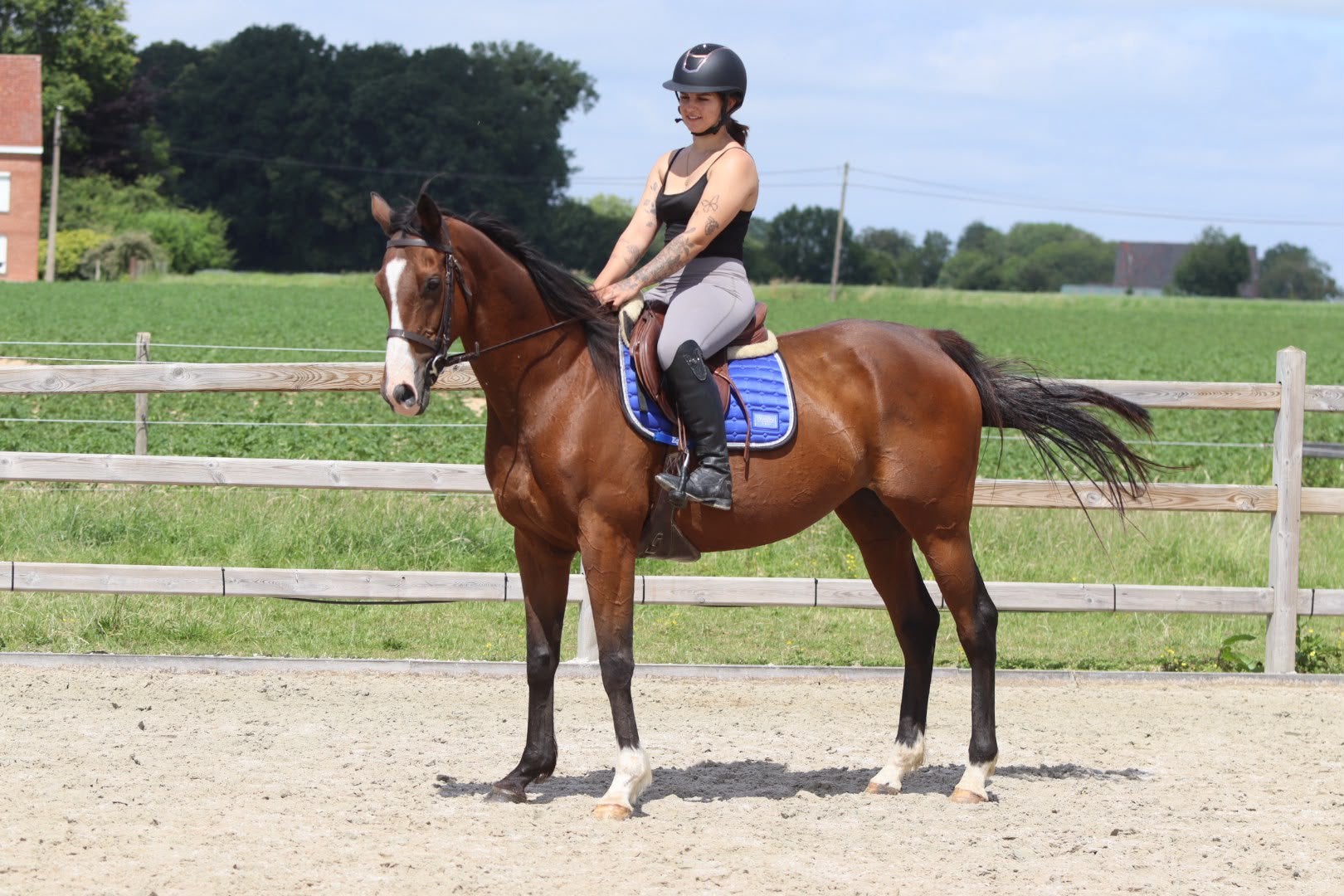 Doreen – lieve 12-jarige merrie van ca. 1,60 m, Zadelmak, 3 tot 6 jaar, Gechipt, Recreatiepony