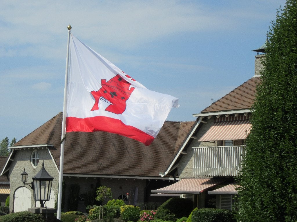 Div. maten Rijnsburg vlaggen., Diversen, Ophalen of Verzenden, Nieuw