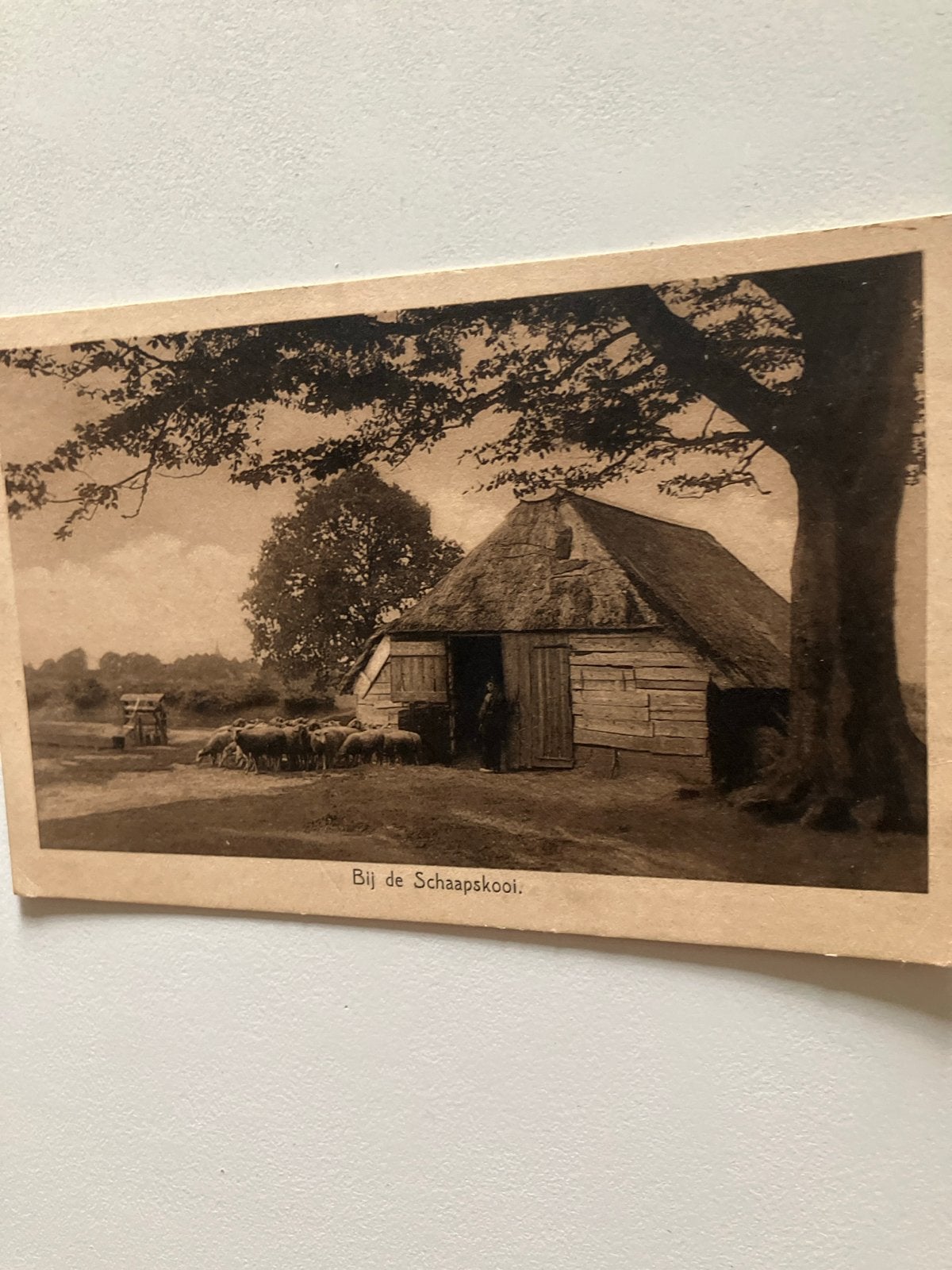 Oude Ansichtkaart 'Bij de Schaapskooi' Drenthe (1940), Ophalen of Verzenden, 1940 tot 1960, Gelopen, Drenthe