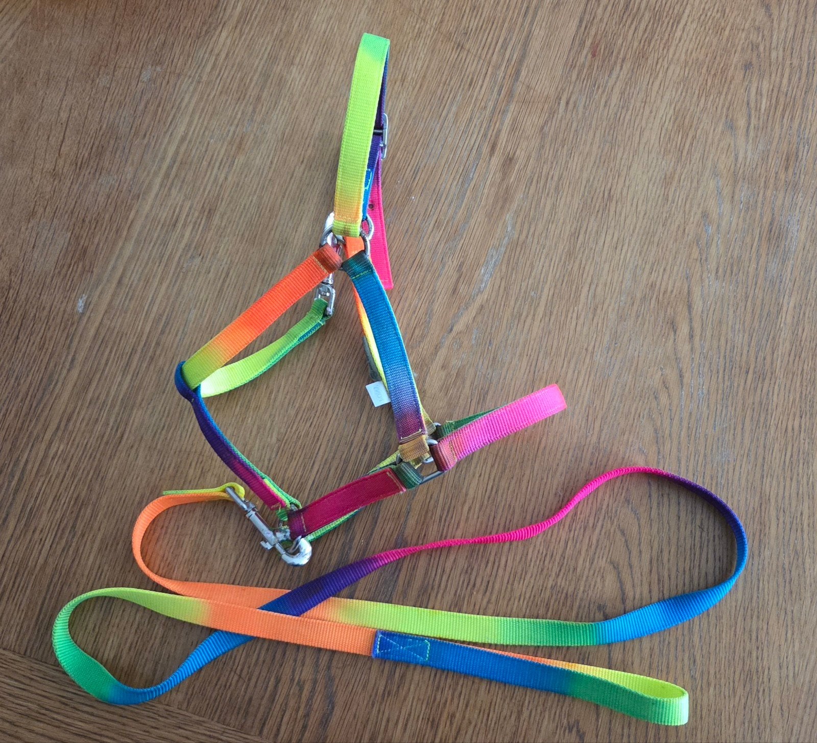 Regenboog halster met touw maat pony, Zo goed als nieuw, Halster, Ophalen of Verzenden, Pony