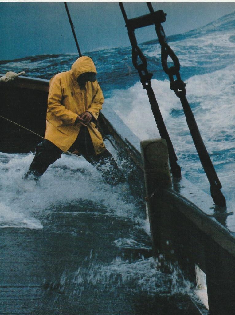 Retro reclame 1988 Van Nelle shag schip windkracht 10, Verzenden, Overige typen