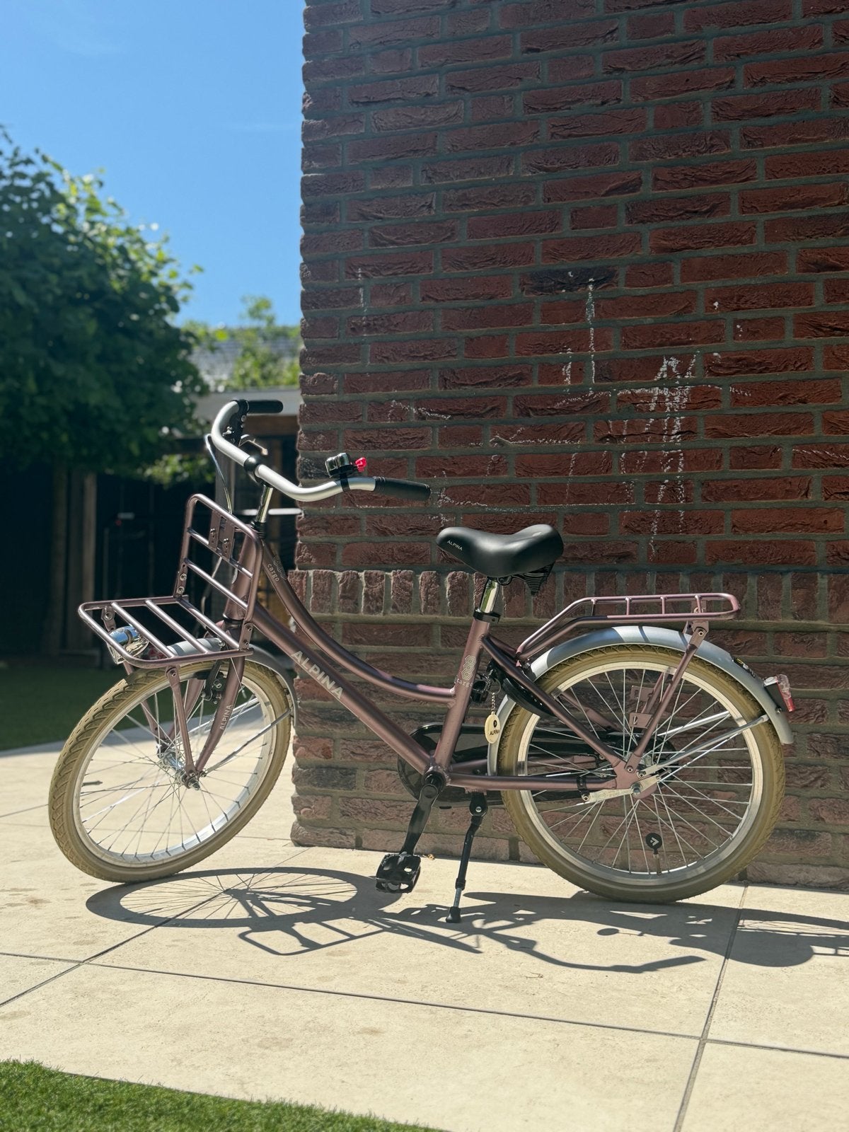 Alpina Cargo Meisjesfiets 22 inch - Zo goed als nieuw, Ophalen, 22 inch, Velgrem, Handrem