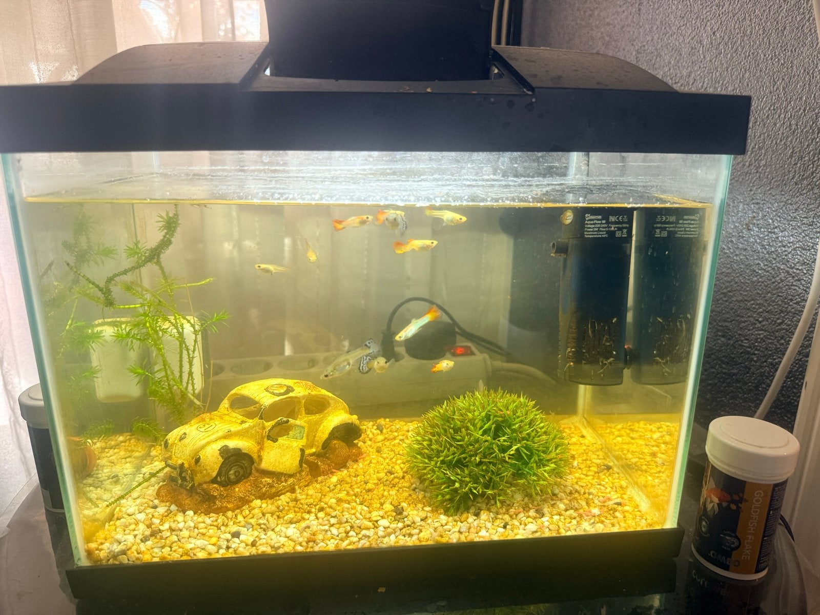 Leuk klein aquarium, Dieren en Toebehoren, Ophalen, Gebruikt, Overige typen, Superfish