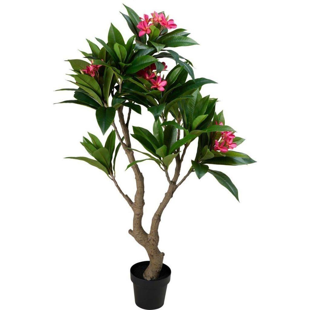 Kunstplant Plumeria 75x150 cm Roze/Groen, Ophalen, Binnen, Home & Styling, Home & Styling