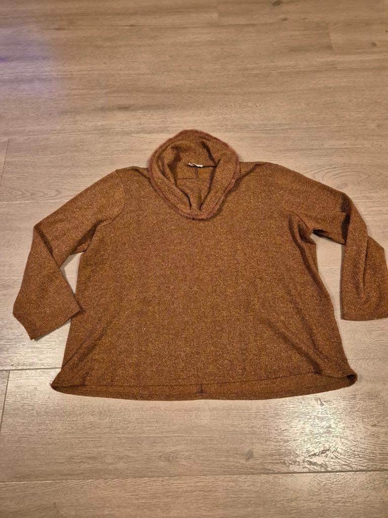 Bruine trui maat XXL, Ophalen of Verzenden, Zo goed als nieuw, Maat 46/48 (XL) of groter, Bruin