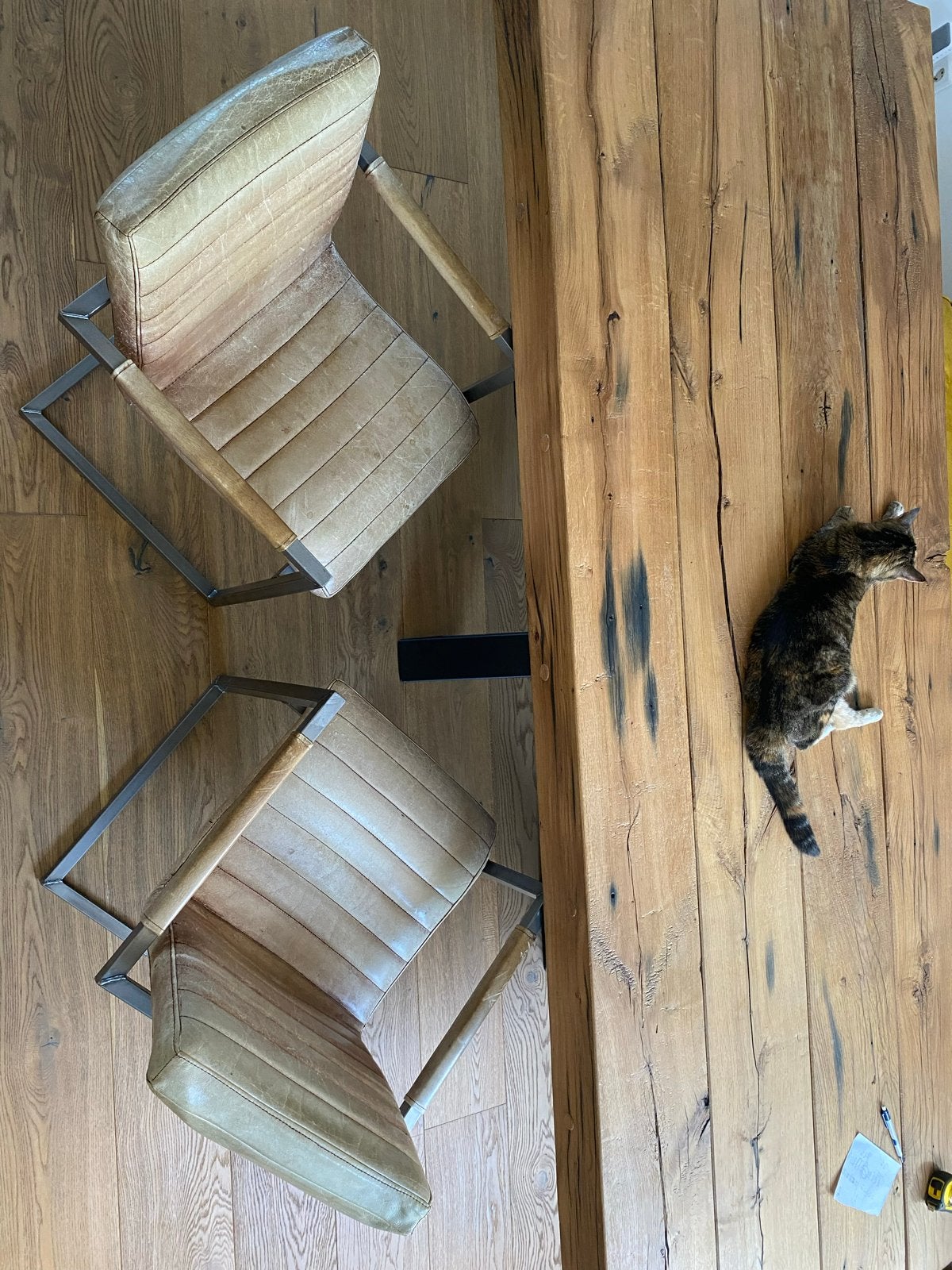 Twee luxe eettafel stoelen met doorleefd uiterlijk, Ophalen, Gebruikt, Twee, Bruin