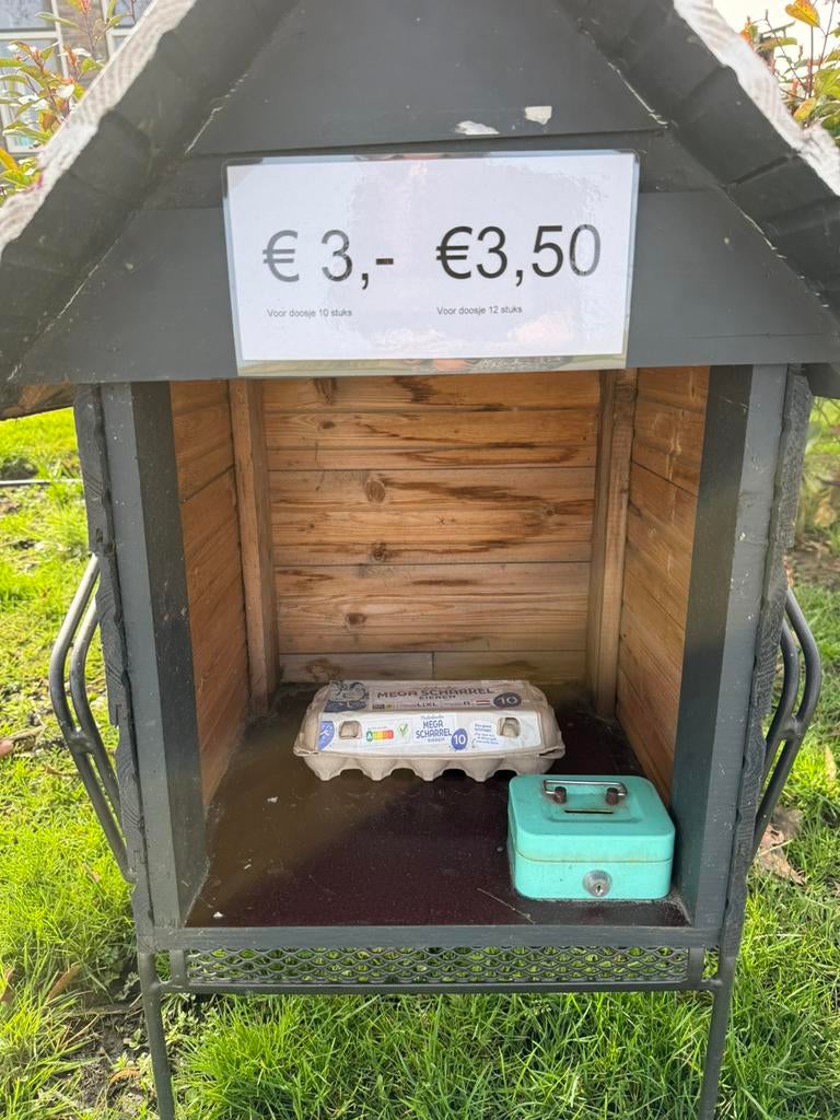 Verse eieren te koop, Ophalen of Verzenden, Zo goed als nieuw, Overige typen