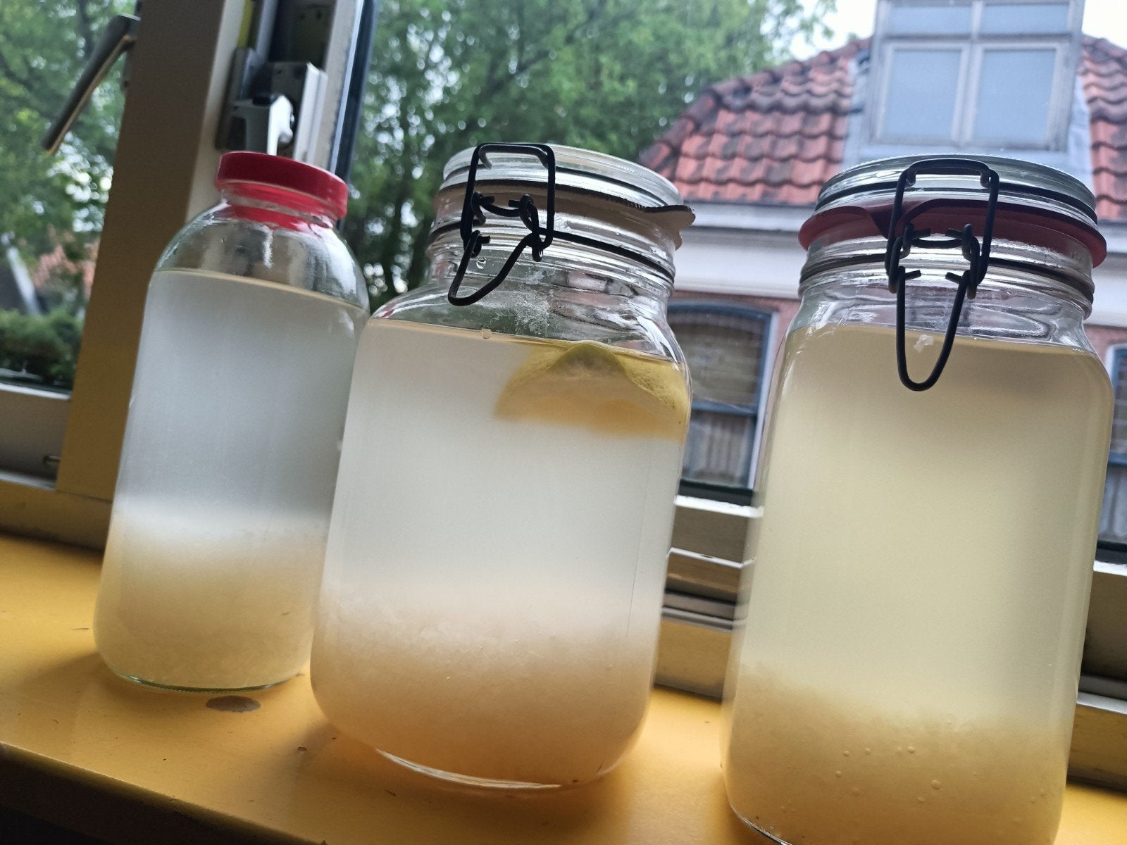Waterkefir, Ophalen of Verzenden
