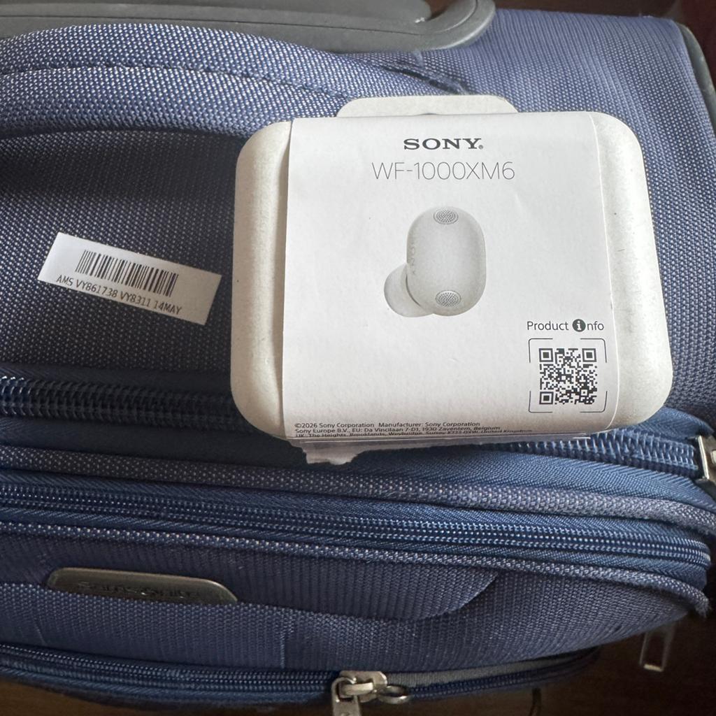 Sony WF-1000XM6 (grijs)